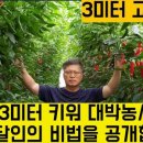 대박이네농수산