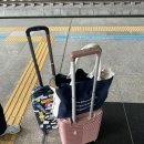 정진컨설팅 | 2026 찾아가는 학교 컨설팅 연수 성과공유회 참석후기