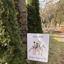 금명목장 | 혼저옵서예~ 제주도 여행