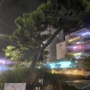 아리아 영계백숙 왕갈비탕 | 울산맛집추천 일산가족모임 장소추천 아리아 영계백숙 왕갈비탕