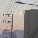 시골살이 집으로 | [일상모음] 2026년 2월
