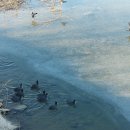 장선포1 이미지