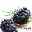 육일농원 이미지