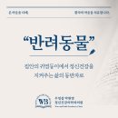반려동물, 귀여움을 넘어 정신건강을 지켜주는 삶의 동반자로 - 여의나루 정신과
