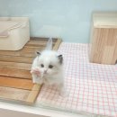 한결메디케어 이미지