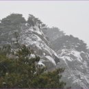 용화축산 이미지