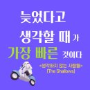 늦기 전에 인생을 즐겨라 이미지