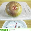 승의농장 이미지