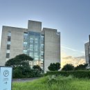 휘닉스 제주 섭지코지 | 제주 휘닉스아일랜드 C동 로얄 후기 | 섭지코지, 성산 근처 숙소 추천