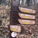 이사주당 유한규묘 Daum카페