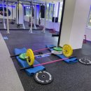 머슬라운지 이미지