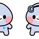 춘천제일종합시장 이미지