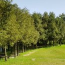 남해바래길 이미지