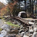 봉평마가리 캠핑장 이미지