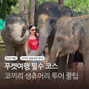 맘씨 | 푸켓코끼리투어 생츄어리 가격 비교 목욕 준비물 꿀팁 맘씨좋은아저씨후기