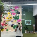 아임낫볼더