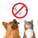 대웅동물병원 이미지