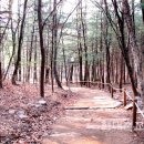 우면산 (소망탑 깔딱고개) 이미지