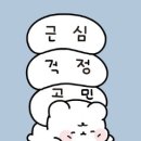 더 가까운 동물병원 이미지