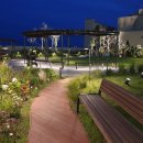 미래애견 이미지