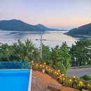 해피독 애견펜션 이미지