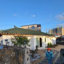 제주청년살이 이미지