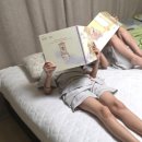 쿨한전집 | 대프리카 복층집도 버텼다! 나비엔 숙면매트 사계절 Pro 한 달 실사용 후기