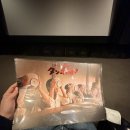 여로여관 | 라멘과 여행 그리고 거북이 [담뽀뽀, 여행과 나날, 거북이는 의외로 빨리 헤험친다 감상]