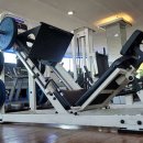 비바휘트니스 이미지