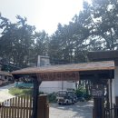 상화원 한국빌라 | (보령) 상화원 || 지금부터 서해안 축제 시작! 죽도 상화원에 위치한 한국빌라 방문 후기 feat. 서해 노을