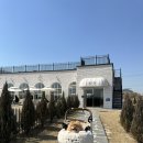 앙비떼카페