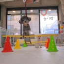 개린이 하우스 이미지