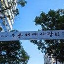 우공 Daum카페