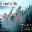 한누리 태권도장 이미지