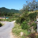 (주)금석해운 | [경상남도 하동군] 대촌마을