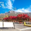 보금자리민박 이미지