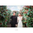 (주)상아아이엔제이 | [결혼준비] 스드메(메이스튜디오 토탈·마리에제이·에델린·꾸띠원) 계약 후기(다이렉트,견적O)