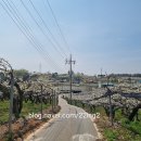 왕지4길 이미지