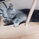 그루밍 타임 이미지