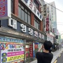 대영당안경원 네이버블로그