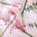 꿈꾸는 언덕 이미지