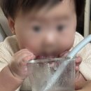 행복유통(에프랑베이비) | [육아일기] 입 짧은 우리 아기 원픽은? 베베쿡부터 로하스밀까지 직접 먹여본 솔직 후기