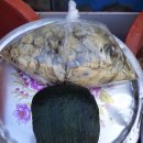 인이수산 이미지