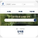 ♧2023년 1월 6일 신문을 통해 알게 된 것 들 이미지