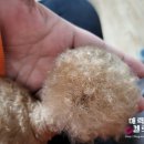 로아동물병원 이미지