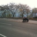 보성 율포해수욕장 이미지