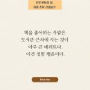 청주가로수도서관 | (도서관에서 LP로 음악 감상을??) 청주 가로수 도서관 소개! 가로수도서관휴관일, 희망도서신청방법