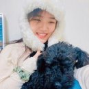 푸키펫