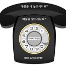 청실두꺼비공인중개사사무소 이미지