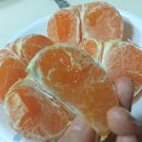 현승농장 이미지